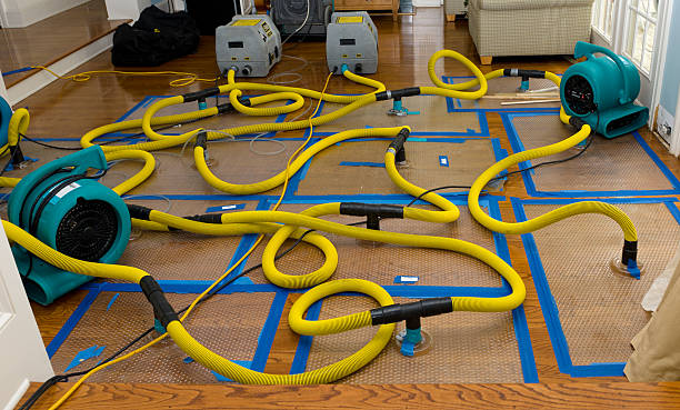Professional Sewage Cleanup technician working in Fairfield, IL